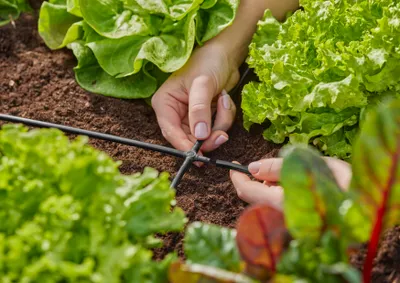 Produktbild von Gardena 13214-20, Schlauchanschluss, Kunststoff, Schwarz