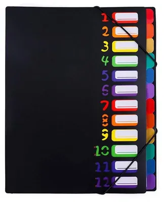 Produktbild von A4 Aktenordner 12 Fach Accordeon Organizer schwarz