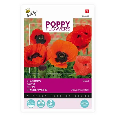 Image de Buzzy Poppy Flowers Graines de pavot oriental - Environ 0,15 gr | Buzzy_080859