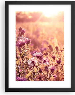 Produktbild von Gerahmtes Poster - Schwarzer Rahmen - Wiese Blumen Sonne - 30x40 cm - Wand Bild - Wanddeko - Wandbilder - Kunstposter - Wandposter - Bilderrahmen - Bilder - Kunstdruck - P2BPA30x40-4819