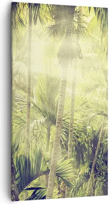Produktbild von Bild auf Leinwand - Leinwandbild - Einteilig - Morgendämmerung Dschungel Palmen - 55x100cm - Wand Bild - Wanddeko - Wandbilder - Leinwanddruck - Bilder - Wanddekoration - Leinwand bilder PA55x100-4450