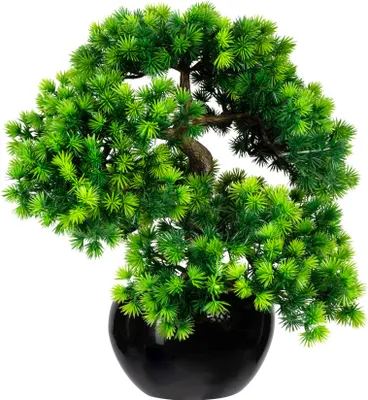 Produktbild von Kunstpflanze Bonsai Lärche Höhe: 37 cm grün