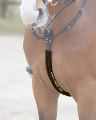 Immagine prodotto di Schockemöhle Copri pettorale sportivo Body Guard Sport Espresso
