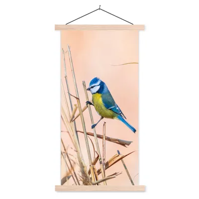 Produktbild von MuchoWow® Textilposter Vogel - Blaumeise - Schilf 60x120 cm mit holzfarbenen Rahmen - Holz