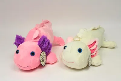 Image de Peluche Axolotl mexicain 35 cm, couleurs assorties