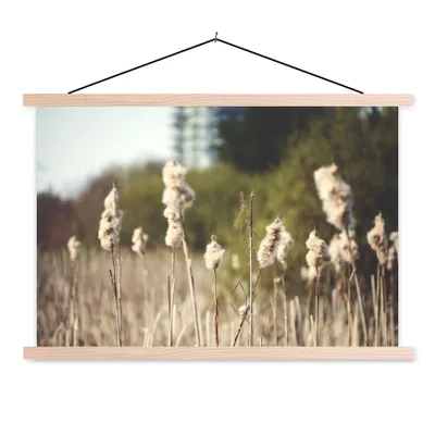 Produktbild von MuchoWow® Textilposter Baumwolle - Sonne - Pflanzen 120x80 cm mit holzfarbenen Rahmen - Aufhängeset