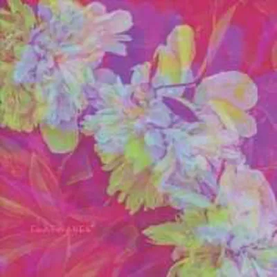Produktbild von Flatwaves: Flatwaves: Numbra -   - (LP / N)