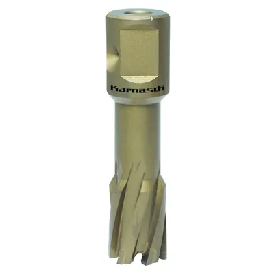 Immagine prodotto di Punta a  con inserti in metallo duro per acciaio Hardox e Inconel, attacco Weldon, lunghezza utile 40 mm, Hard-Line40, Ø d=18 mm
