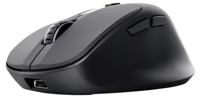 Image de Trust Zevo, droite, optique, sans fil RF + Bluetooth, 4000 DPI, noir