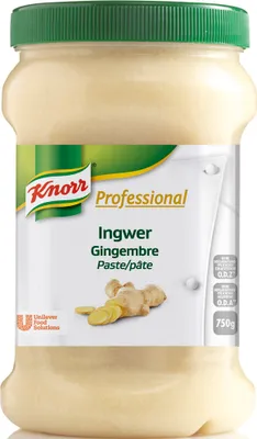 Immagine prodotto di Pasta di spezie professionale Knorr Zenzero