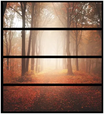 Produktbild von Wallario Möbelfolie / Aufkleber, geeignet für Ikea Malm Kommode mit 4 Schubfächern - Herbstwald - Weg zu einer Lichtung im Wald