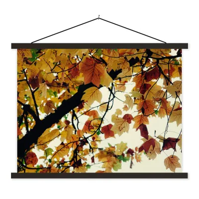 Produktbild von MuchoWow® Textilposter Bäume - Herbstblätter - Natur 150x113 cm mit schwarzem Rahmen - Wohnzimmer