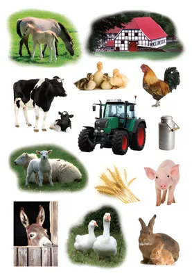 Produktbild von HERMA 3358 10x Sticker DECOR Bauernhoftiere