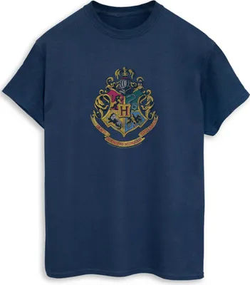 Produktbild von Harry Potter - T-Shirt für Herren BI1173 (S) (Marineblau)