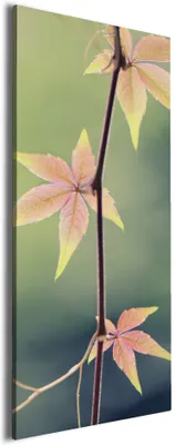 Produktbild von Wallario Premium Leinwandbild Herbstblume in Größe 30 x 75 cm
