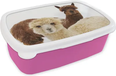 Produktbild von KitchenYeah® Lunchbox Brotzeit Brotdose 17x11 cm Lama - Tier - Mantel Kinder Brotzeitdose - Lunchpaket - Brotkasten  - Sandwich Box