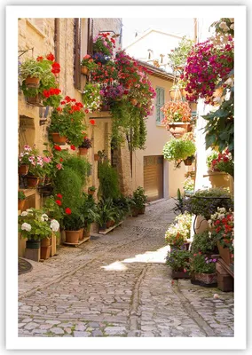 Produktbild von Poster - Poster ohne Rahmen - Blume Straße Haus - 70x100 cm - Wand Bild - Wanddeko - Wandbilder - Kunstposter - Wandposter - Bilder - Kunstdruck - Wanddekoration - Wandbild - P2XPA70x100-3586