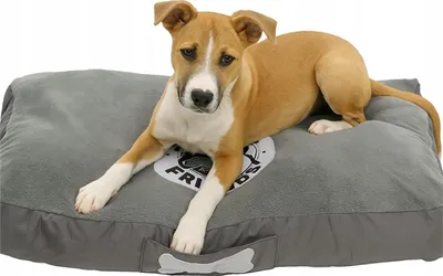 Produktbild von Hundekissen rechteckig 74x50cm Hundebett grau