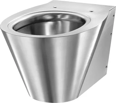 Immagine prodotto di Delabie WC BCN S wandh. Anschl. hi. Edst. 1.4301 doppeltes Materialfinish