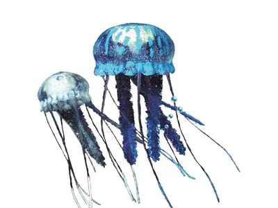 Produktbild von Nobby Fantasy Aqua Decor "Qualle" Sortiment weiß / blau 5,5cm + 3.5cm