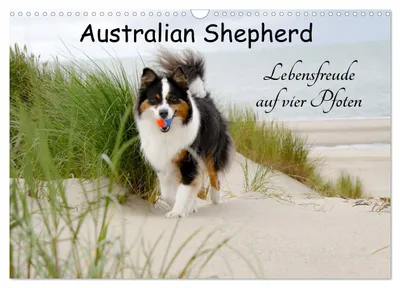Produktbild von Australian Shepherd - Lebensfreude auf vier Pfoten (Wandkalender 2027 DIN A3 quer), CALVENDO Monatskalender