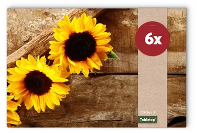 Produktbild von Abwaschbare Tischsets 6er Set Sommer Sonnen-Blumen
