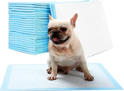 Produktbild von Welpen Trainingsunterlage 100 Stück Welpenunterlage Hygieneunterlagen Welpentoilette 33x45cm