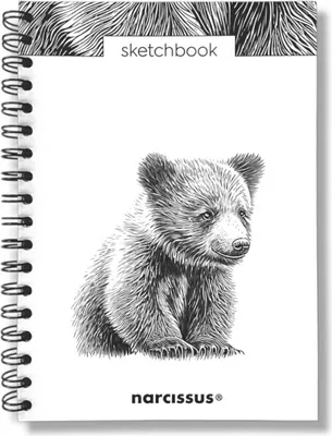 Produktbild von Szkicownik B5 na spirali Niedźwiedź 60k z perforacją 120 gsm