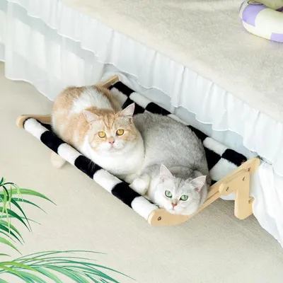 Katzenhängematte Fensterbank Sitzplätze für Katzen, Hauptbild