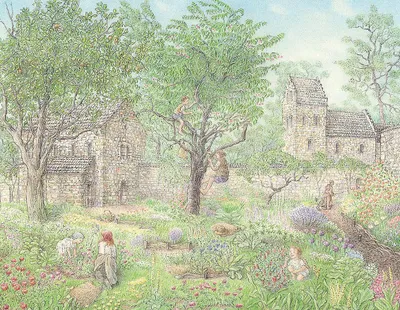 Image de Die Legende von der Christrose