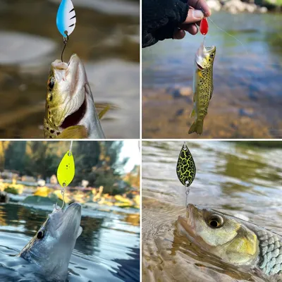 Produktbild von Bunte Forellenlöffel Set - 16 Stück, 25 g/3 g/5 g Kunstköder Spinner, Forellenangeln mit Aufbewahrungsbox - Angelzubehörset für Barsch und Forelle