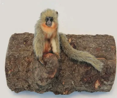 Produktbild von Hansa Toy 6230 Springaffe 16 cm Kuscheltier Plüschtier