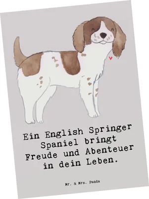 Produktbild von Mr. & Mrs. Panda Postkarte English Springer Spaniel Freude - Grau Pastell - Geschenk, und Abenteuer, Hunderasse, Ansichtskarten, Grußkarte, treuer Begleiter, Postkarten