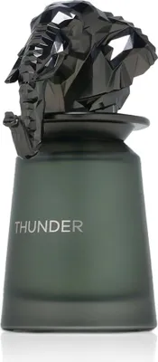 Obrázek produktu pro French Avenue Thunder EDP 100 ml M