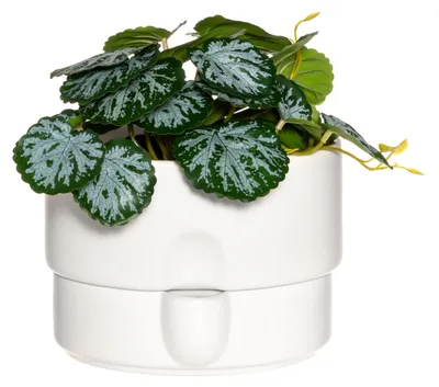 Produktbild von Blumentopf mit Bewässerungssystem, Ø 19 cm