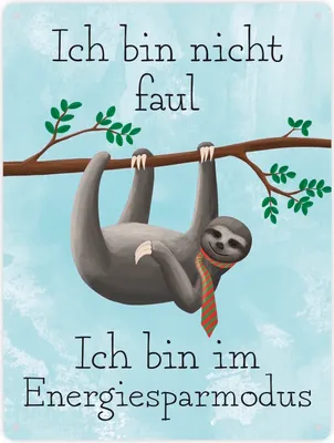 Produktbild von Ich bin nicht faul - Ich bin im Energiesparmodu Faultier Metallschild XXL in