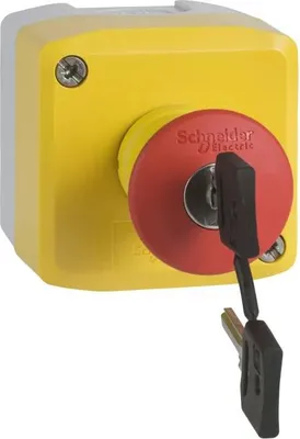 Immagine prodotto di Schneider Electric XALK188G