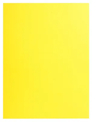 Immagine prodotto di Exacompta confezione da 25 cartelline A4 Giallo Sole 2 scomparti cartoncino Manila