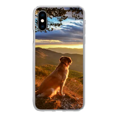 Produktbild von MuchoWow® Handyhülle Schutzhülle Hülle für iPhone X Ein Golden Retriever beobachtet den Sonnenuntergang Silikon Softcase Handy Hülle - Handyhülle