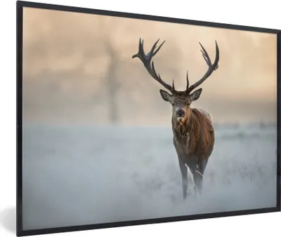 Produktbild von MuchoWow® MuchoWow® Gerahmtes Poster Hirsche - Natur - Winter 90x60 cm - Poster mit zchwarzem Bilderrahmen - Fotorahmen - Foto-Plakat