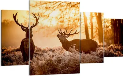 Produktbild von Bild auf Leinwand - Leinwandbild - Deer Heidekraut Tier - 160x90cm - Wand Bild - Wanddeko - Leinwanddruck - Bilder - Kunstdruck - Wanddekoration - Leinwand bilder - Wandkunst - DL160x90-3043