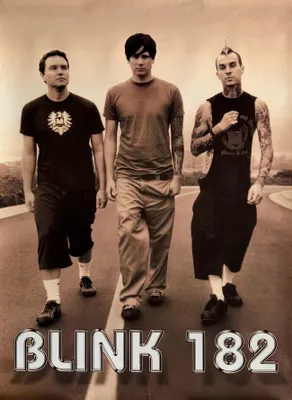 Obrázok produktu pre Blink 182 - Rok 2004 - Plagát - 61x87 cm