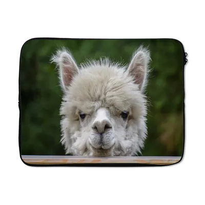 Produktbild von MuchoWow® Laptop Hülle 14 ZollAlpaka - Porträt - Tiere Laptoptasche - Laptoptasche - Stoßsicher - Schutzhaube