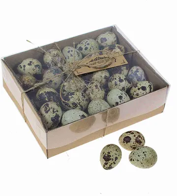 Produktbild von 48 echte Wachteleier ausgeblasen 3cm Deko Bastel Eier Ostern Ostereier Vogeleier
