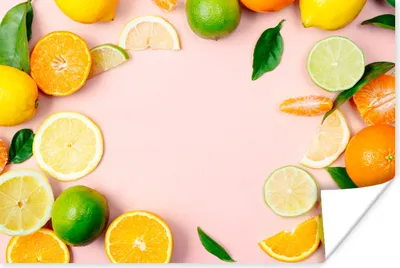 Produktbild von MuchoWow® Poster Obst - Zitrusfrüchte - Pastell 120x80 cm - Bilder
