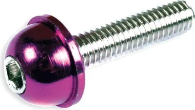 Image de Jeu de vis 12 pièces capuchon alu bleu - M6x20