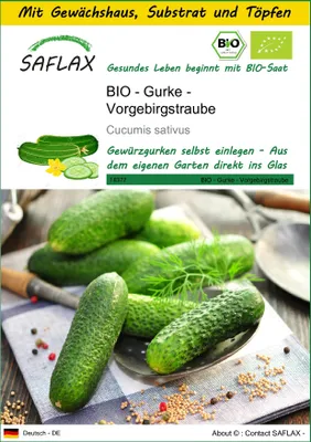 Produktbild von SAFLAX Anzucht Set - BIO - Gurke - Vorgebirgstraube - Cucumis sativus - 15 Samen - Mit Mini-Gewächshaus, Anzuchtsubstrat und 2 Töpfen