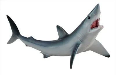 Image de Collecta 88679 Makohai Ailerons courts Mako 13 cm Animaux aquatiques