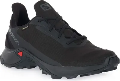Produktbild von Salomon Schuhe Alphacross 3 Gtx, 414466, Größe: 44