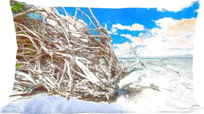 Produktbild von MuchoWow® Zierkissen Sofakissen Wohnzimmer Dekokissen 50x30 cm Strand - Äste - Tropisch - Meer - Wohnzimmerdekoration - Polster mit Photo